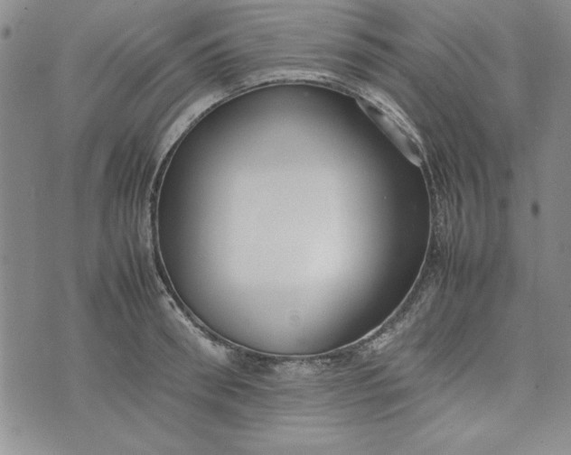 X0000075330898200609250944