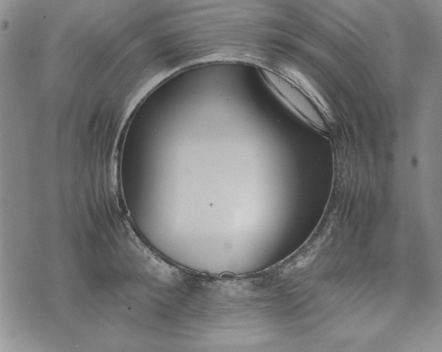X0000075330900200609250944