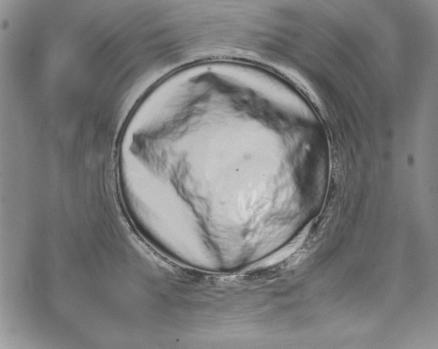 X0000075330903200609250944