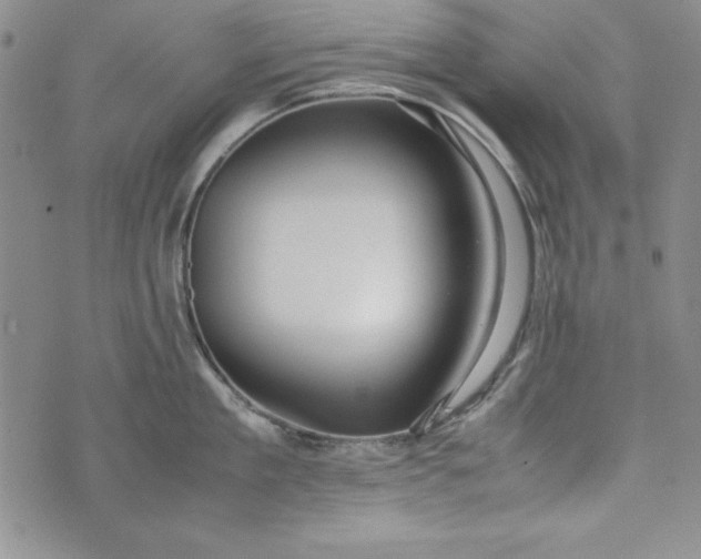 X0000075330909200609250944