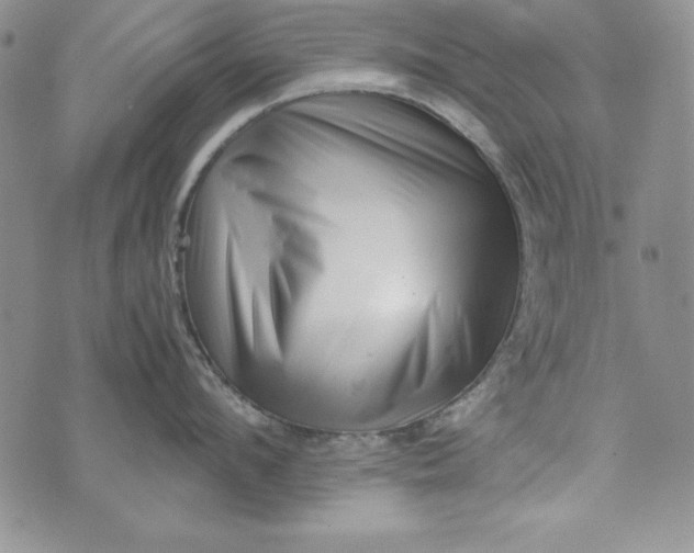 X0000075330912200609250944