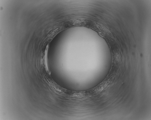 X0000075330914200609250943