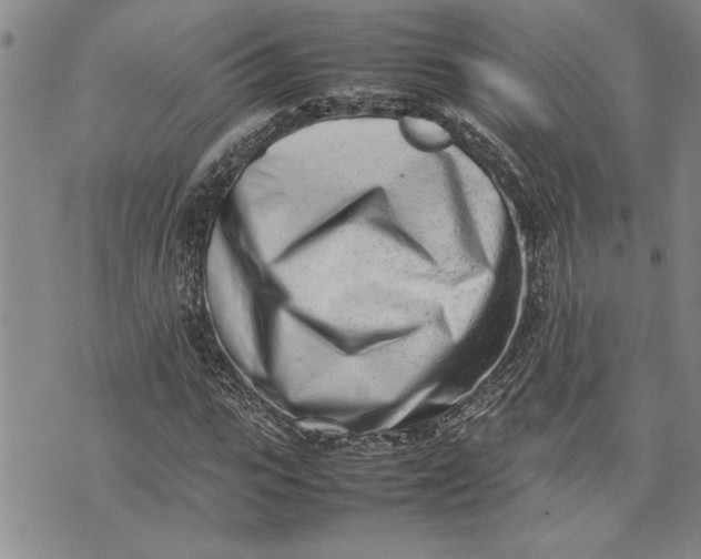 X0000075330919200609250943