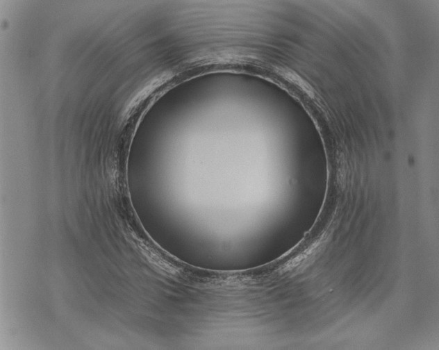 X0000075330922200609250943