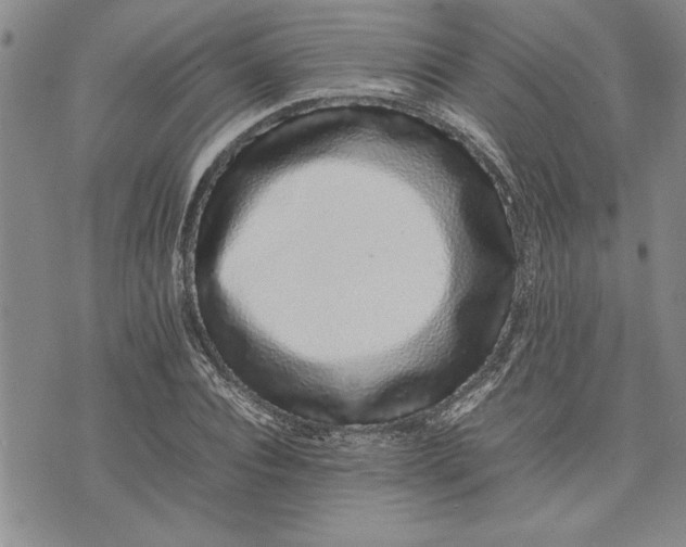 X0000075330928200609250943