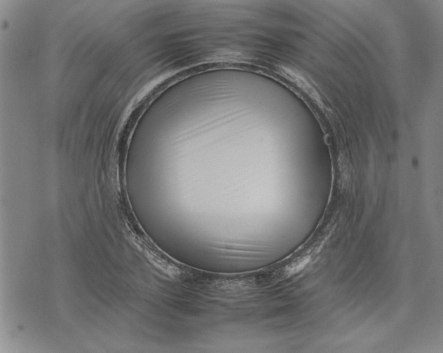X0000075330931200609250943