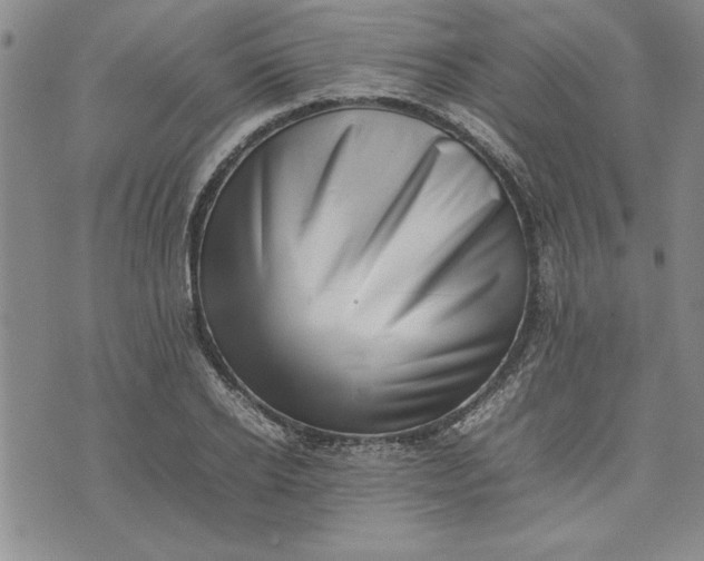 X0000075330934200609250943