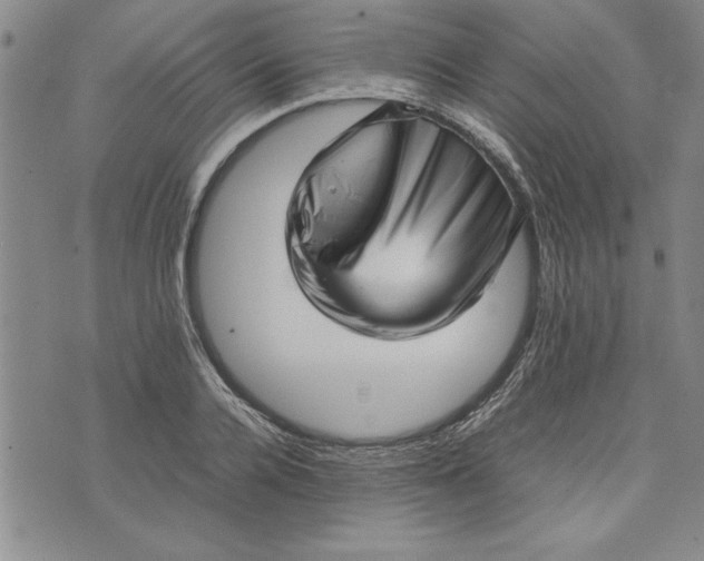 X0000075330936200609250943