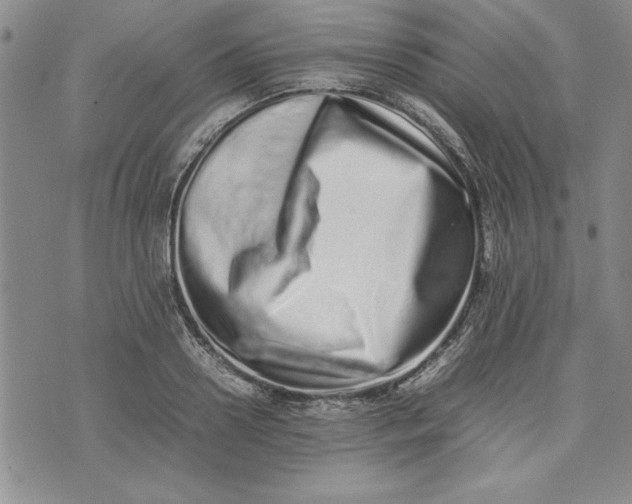 X0000075330938200609250943