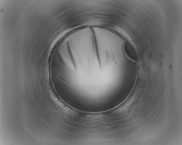 X0000075330939200609250943