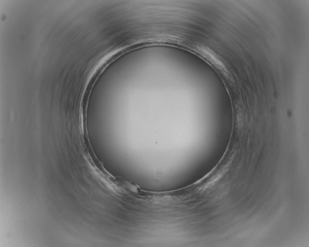 X0000075330940200609250943