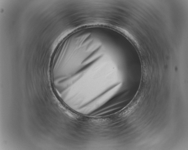 X0000075330943200609250943