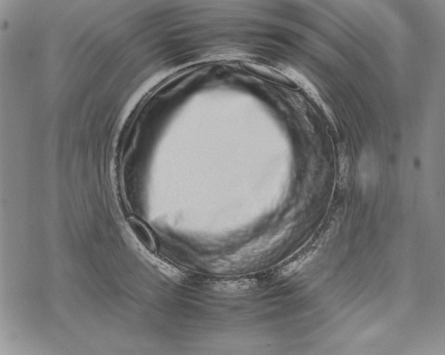 X0000075330947200609250943