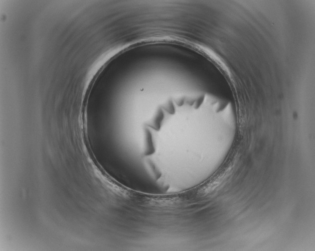 X0000075330951200609250943