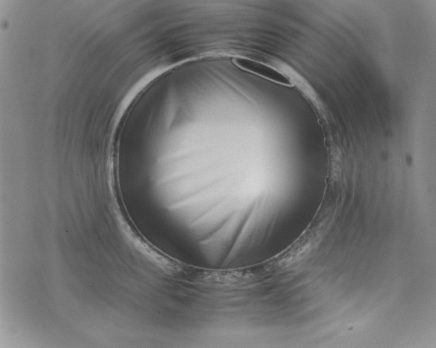 X0000075330955200609250944