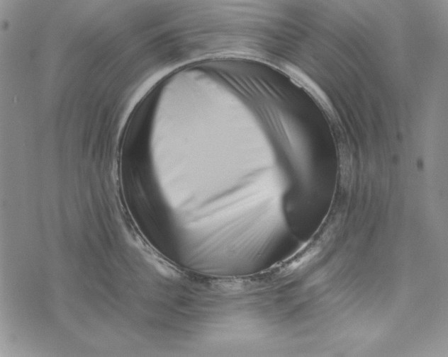 X0000075330956200609250944