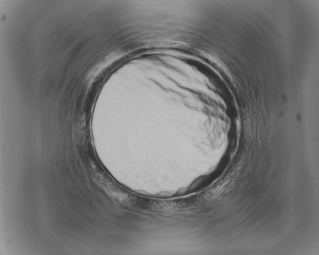 X0000075330971200609250943