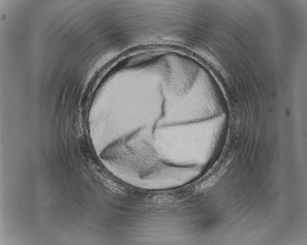 X0000075330974200609250943