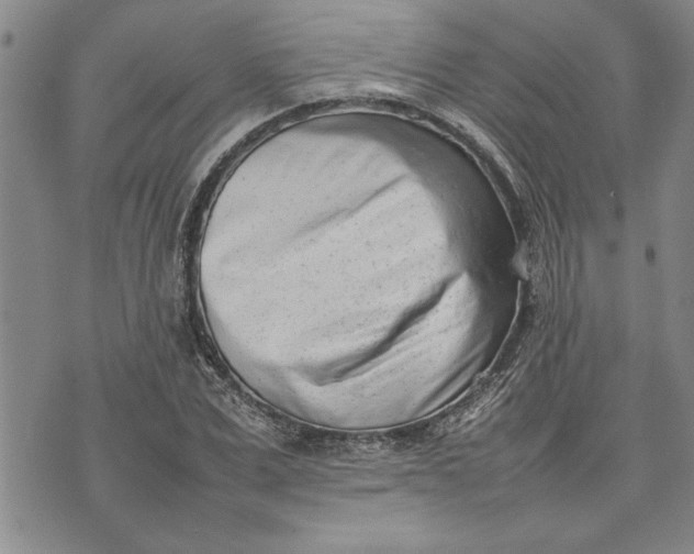 X0000075330975200609250943