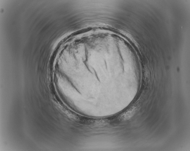 X0000075330979200609250943