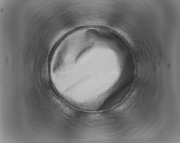 X0000075330982200609250942