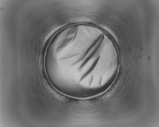 X0000075330983200609250942