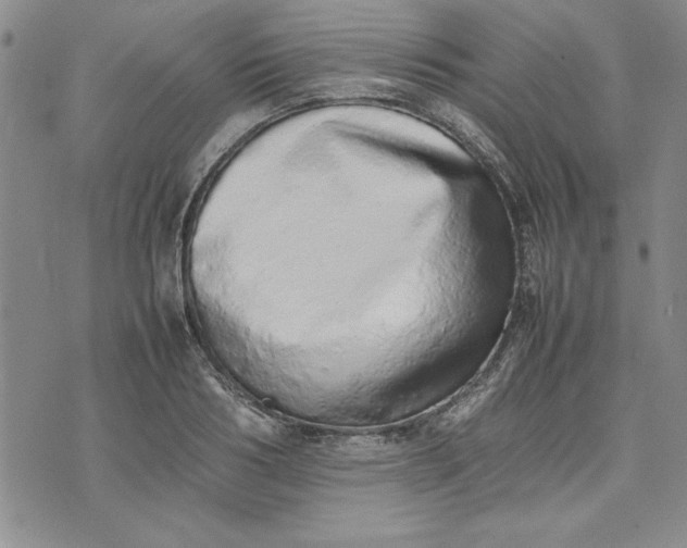 X0000075330986200609250942