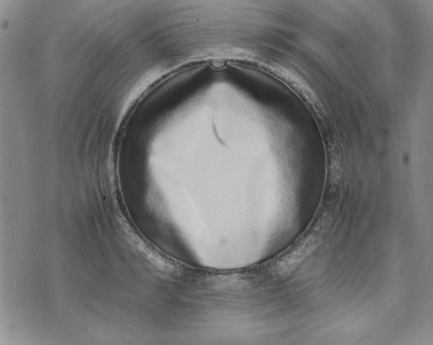 X0000075330990200609250942