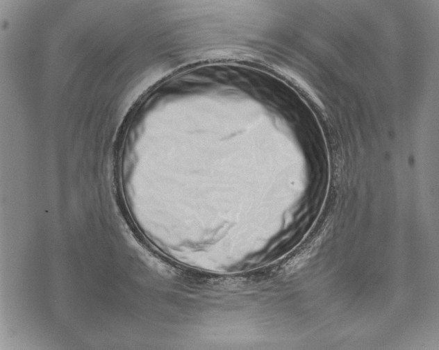 X0000075330991200609250942