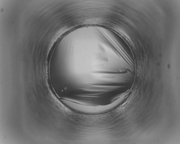 X0000075330992200609250942