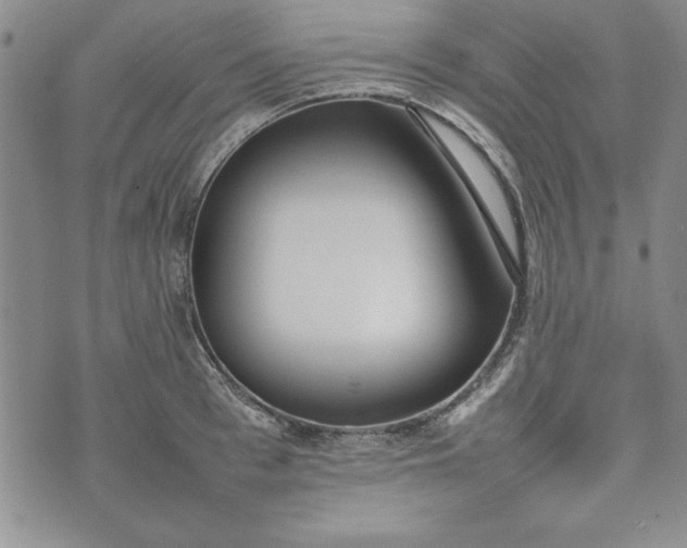 X0000075330993200609250942
