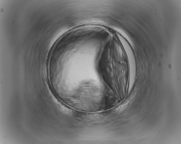 X0000075330999200609250942