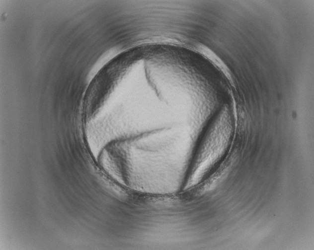 X0000075331002200609250942