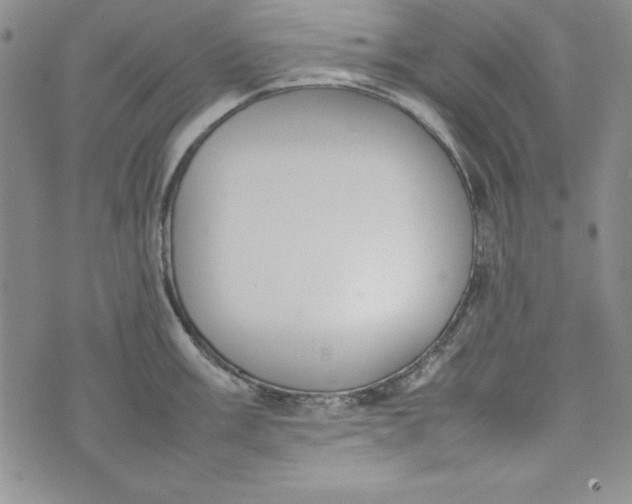 X0000075331003200609250942
