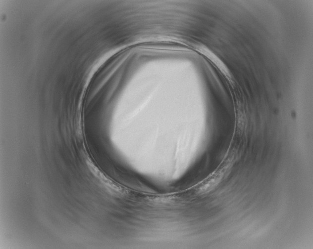 X0000075331004200609250942