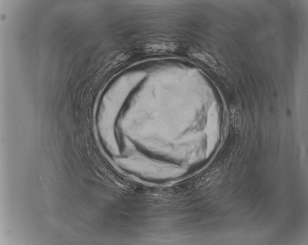 X0000075331009200609250941