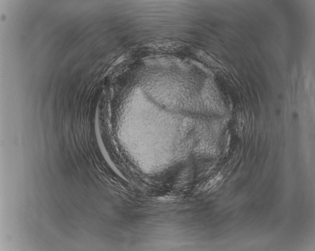 X0000075331010200609250941