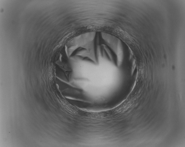 X0000075331012200609250941