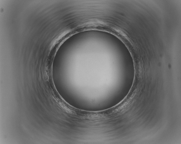 X0000075331018200609250941