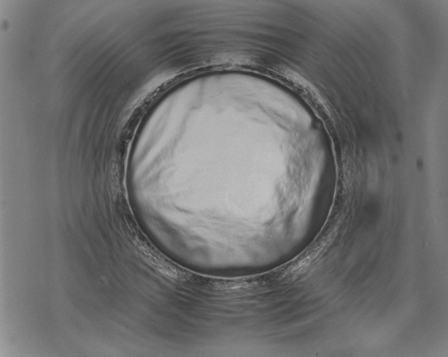 X0000075331019200609250941