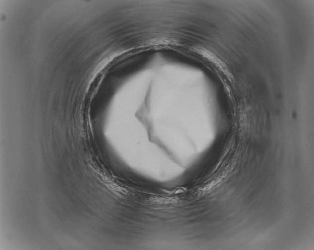 X0000075331023200609250941