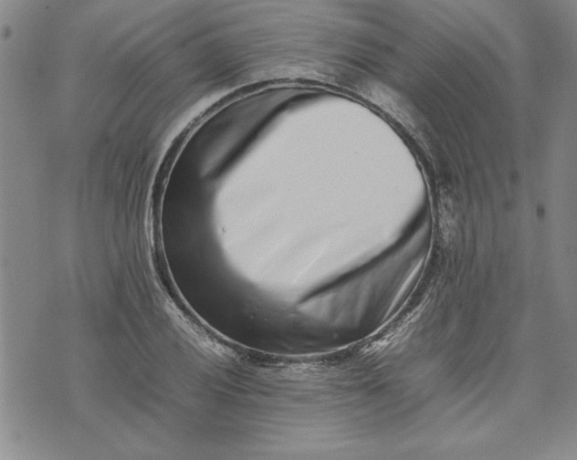 X0000075331028200609250942