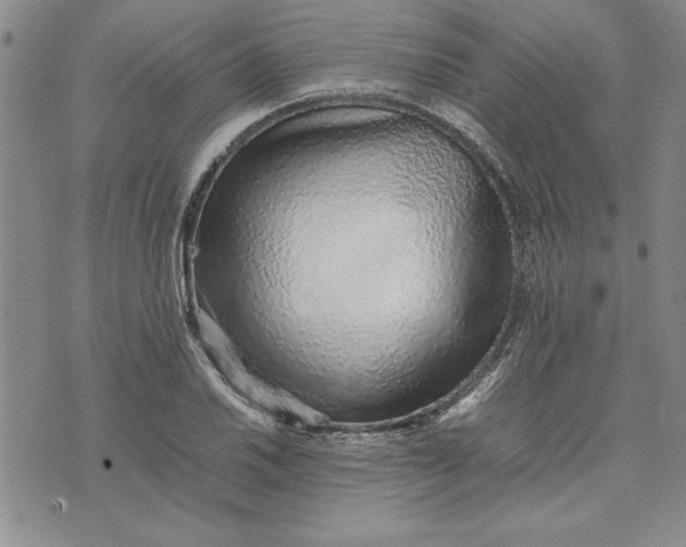 X0000075331030200609250942