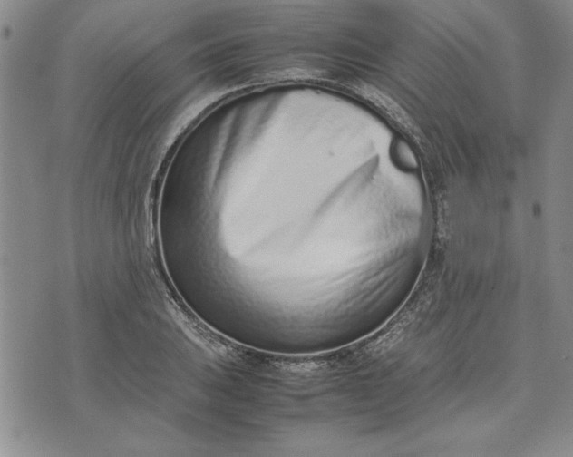 X0000075331031200609250942
