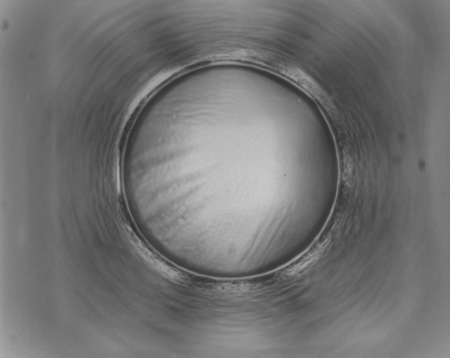 X0000075331036200609250942