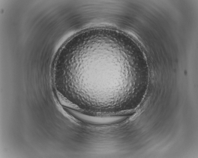 X0000075331038200609250942