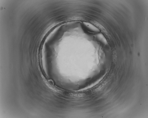 X0000075331039200609250942