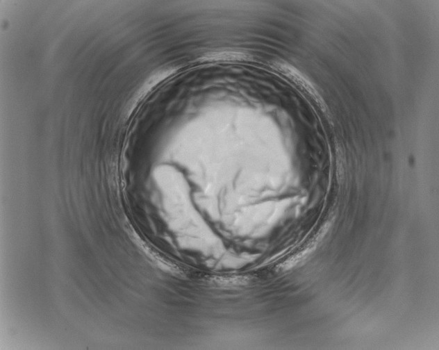 X0000075331041200609250942