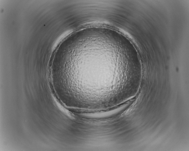 X0000075331042200609250942