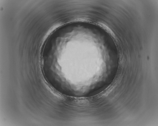 X0000075331043200609250942